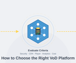 How to Choose the Right VoD Platform for Your Busi...