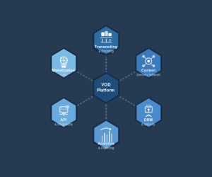 How to Choose the Right Video on Demand Platform f...