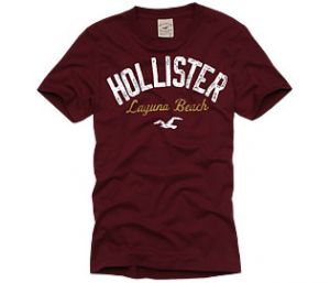 Creative Commons  Shirts blazoned with the Hollister logo used to be all teens wanted. Now, most do not wear t shirts with brand names, unless it is for athletics. 