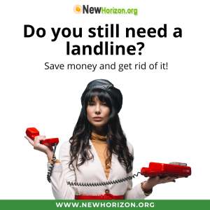 save money by cutting landline
