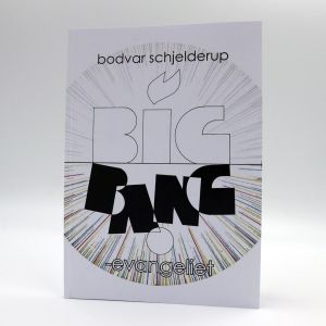 Big Bang evangeliet, en bok av Bodvar Schjelderup