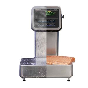 Industrial Waterproof Platform Weighing Scale | Checkweighing solutions for food processing | Avery Weigh-Tronix