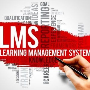 LMS Website development agency in pune