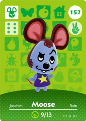 Moose