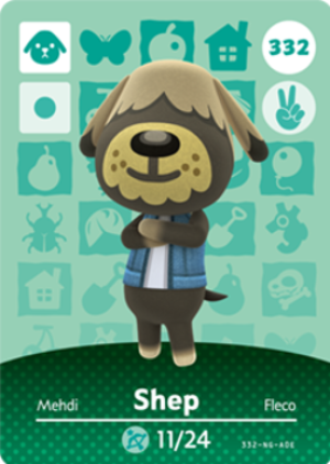 Shep