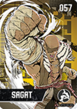 Sagat (Alt)