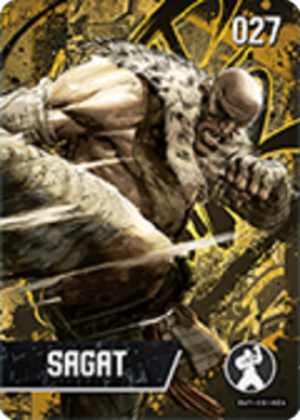Sagat
