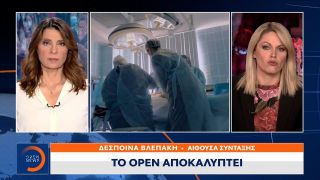 Κορωνοϊός: Σχέδιο ενίσχυσης του ΕΣΥ στην Αττική με 150 ιδιώτες γιατρούς | OPEN TV