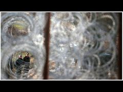 Νεκρός Βούλγαρος συνοριοφύλακας στα σύνορα με την Τουρκία…