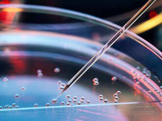 CLONING AND STEM CELLS: HOW THEY WORK AND WHAT THEY MEAN CLONING AND STEM CELLS: HOW THEY WORK AND WHAT THEY MEAN