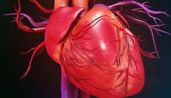 PUMPING OF THE HEART AND REGULATION OF CARDIAC OUTPUT PUMPING OF THE HEART AND REGULATION OF CARDIAC OUTPUT