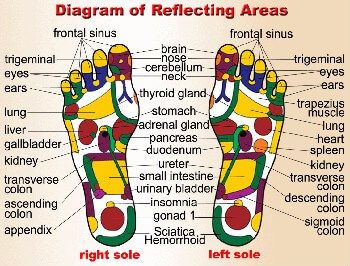 Compact Foot Reflexology Massage Roller