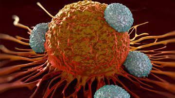 HOW TO SPOT THE SIGNS OF SOLID TUMORS EARLY HOW TO SPOT THE SIGNS OF SOLID TUMORS EARLY
