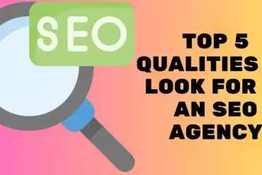 Top 5 Qualities to Look for in an SEO Agency | 2Stallions Malaysia