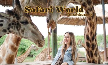 bangkok safari world feeding the giraffe