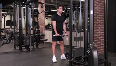Bicep Curl (Cable)