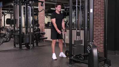 Hammer Curl (Cable)