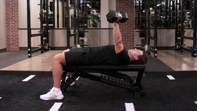 Bench Press (Dumbbell)