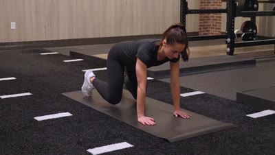 Quadruped Plank Hold