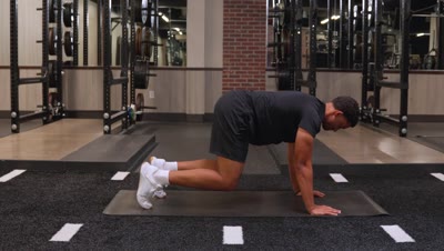 Quadruped Plank With Leg Extensions