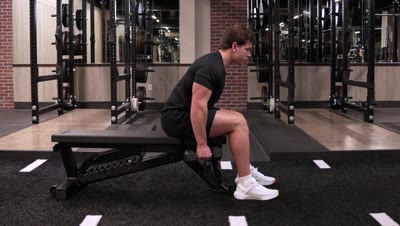 Seated Dumbbell Rear Delt Raise