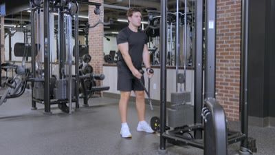 Hammer Curl (Cable)