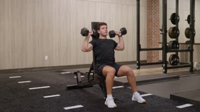 Shoulder Press (Dumbbell, Seated)