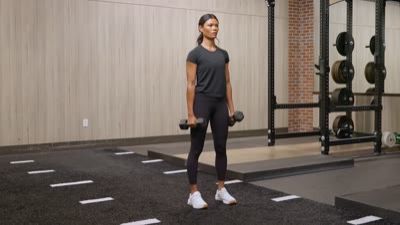 Bicep Curl (Dumbbell)