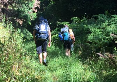 3 men walk into the bush with their hiking packs on their backs.