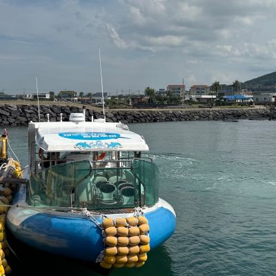 2026-09-03 11:00 항차 · 1호선 · 제주 남방큰돌고래