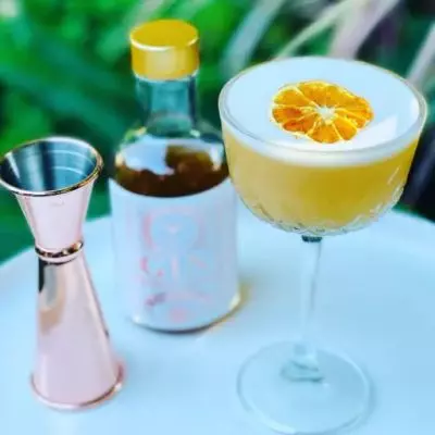 Citrus Gin Sour