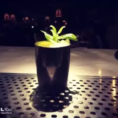 Ginger mule