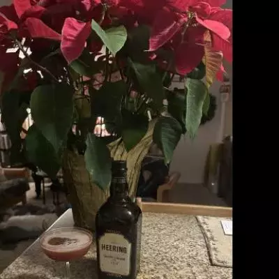 Holiday Heering Aid