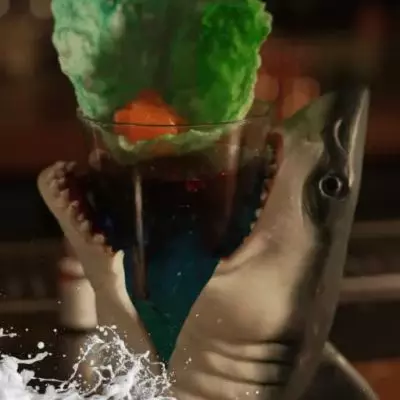 Bolting Shark