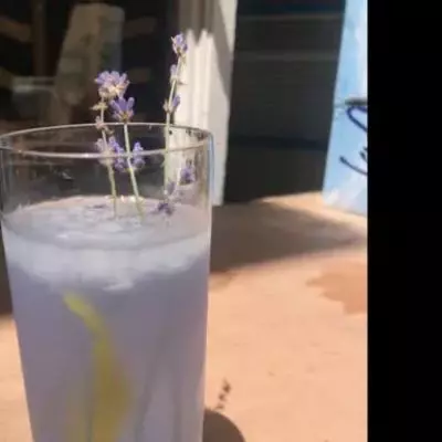 Lavender Collins