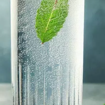 Garden Elderflower Fizz