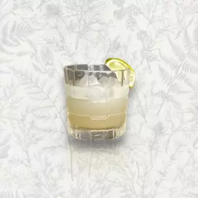 James Martin's Gin - Foghorn