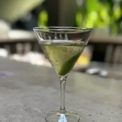 South American Vesper