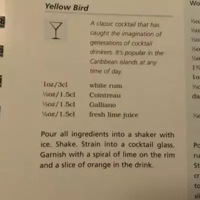 Yellow Bird (Salvatore Calabrese's Version)