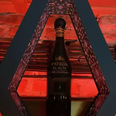 Brave Panther