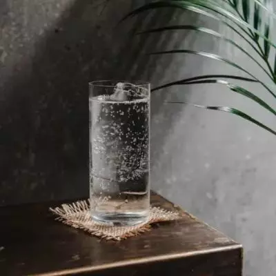 Fig Leaf & Tonic