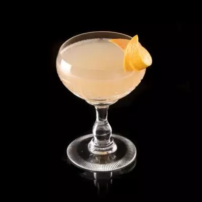 Grapefruit Gin Cocktail