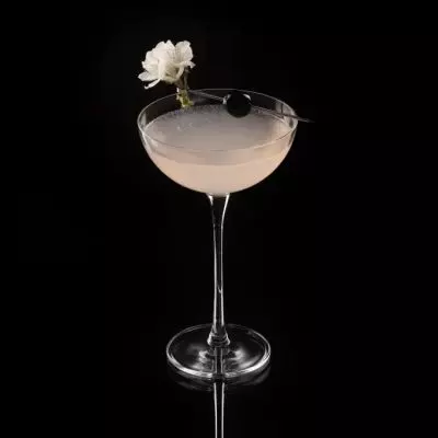Cherry Blossom