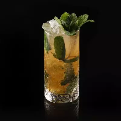 Temperance Amaro Mojito