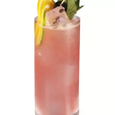Gin Daisy #3 (Modern long style)