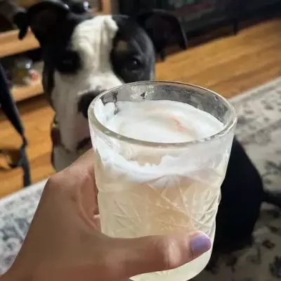 Mezcal Sour