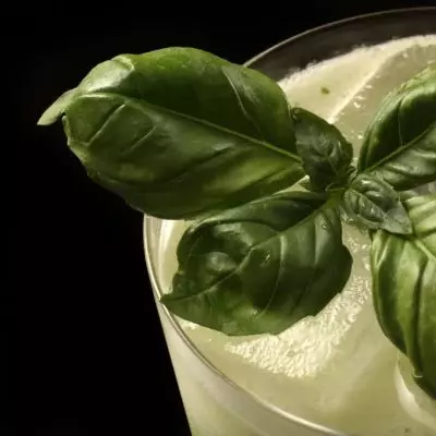 Grappa Basil Smash