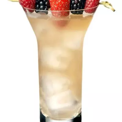 Gin Punch No. 2