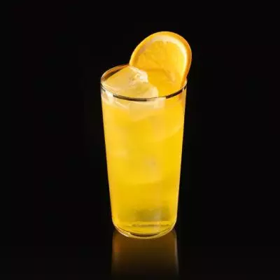 Wrong Island Ice Tea