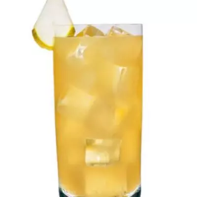 Prickly Pear Mule